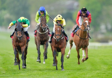 sandown races Stock Photos (Exclusive) | Shutterstock