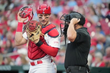 St Louis Cardinals Catcher Andrew Knizner Editorial Stock Photo