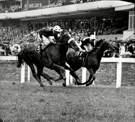 Royal Ascot Horse Racing 1969 Royal Editorial Stock Photo - Stock Image ...