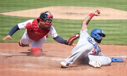 St Louis Cardinals Catcher Willson Contreras Editorial Stock Photo - Stock  Image