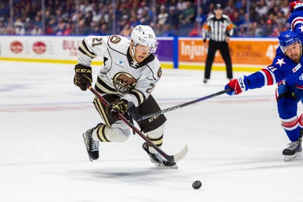 Hockey Hershey Bears Vintage Sports Photos for sale