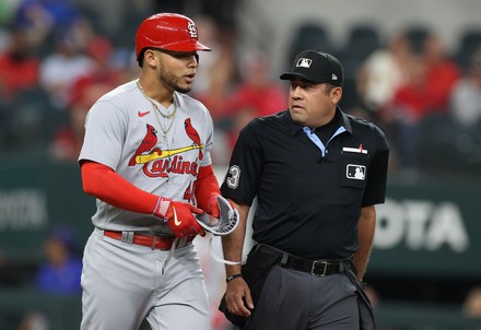 791 fotos de stock e banco de imagens de Chicago Cubs Catcher Willson  Contreras (40) - Getty Images