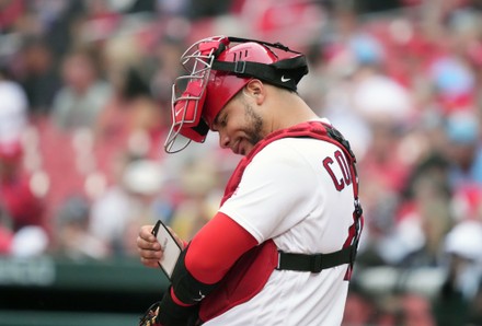 St Louis Cardinals Catcher Willson Contreras Editorial Stock Photo - Stock  Image