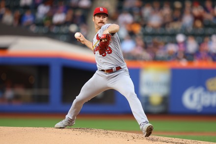 1,726 Miles Mikolas” Baseball Stock Photos, High-Res Pictures, and Images -  Getty Images