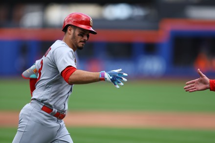 12,970 Nolan Arenado” Baseball Stock Photos, High-Res Pictures, and Images  - Getty Images