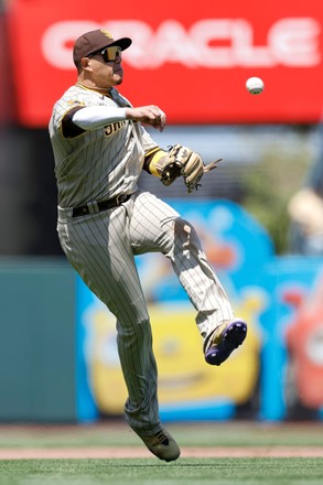 MLB San Diego Padres - Manny Machado 22 Poster