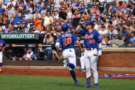 New York Mets Baseball Team Logo Editorial Stock Image - Image of