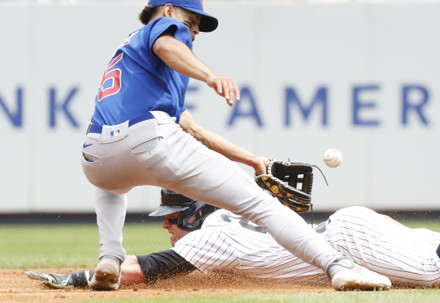 Category:Harrison Bader - Wikimedia Commons