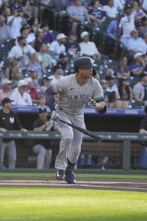 New York Yankees Right Fielder Giancarlo Editorial Stock Photo - Stock  Image