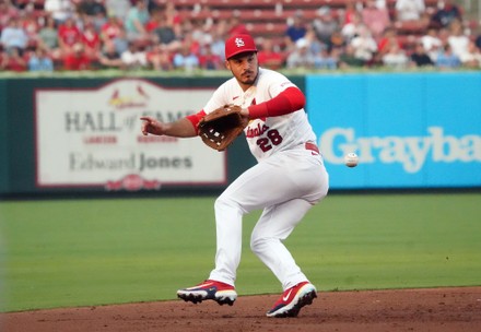 12,970 Nolan Arenado” Baseball Stock Photos, High-Res Pictures, and Images  - Getty Images