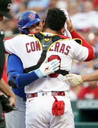 791 fotos de stock e banco de imagens de Chicago Cubs Catcher Willson  Contreras (40) - Getty Images