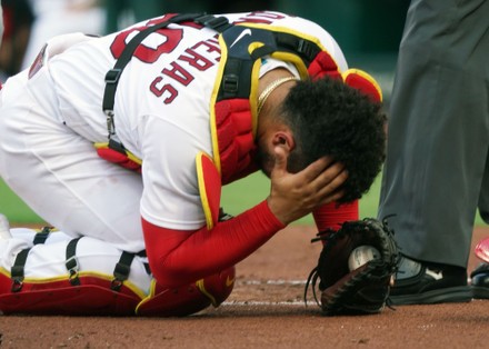 St Louis Cardinals Catcher Willson Contreras Editorial Stock Photo - Stock  Image