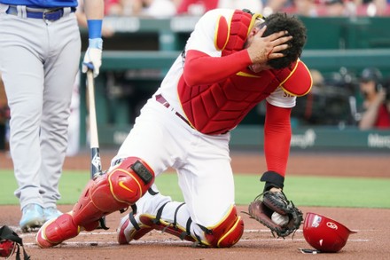 St Louis Cardinals Catcher Willson Contreras Editorial Stock Photo - Stock  Image