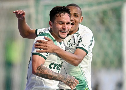 Palmeiras Foot Ball Club - Belo Horizonte-MG