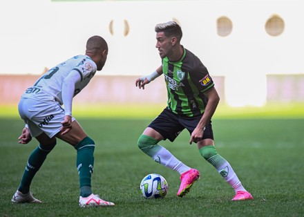 Football Pitch during America Mineiro Match - Picture of Arena