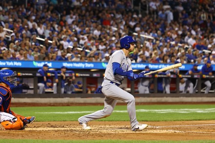 Los Angeles Dodgers Cody Bellinger C Editorial Stock Photo - Stock Image