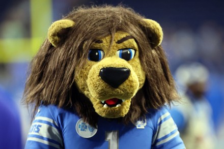 Detroit Lions Football Education - Roary