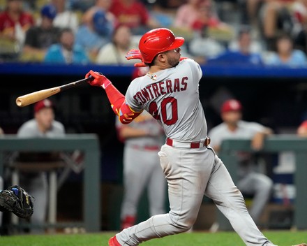 St Louis Cardinals Catcher Willson Contreras Editorial Stock Photo - Stock  Image