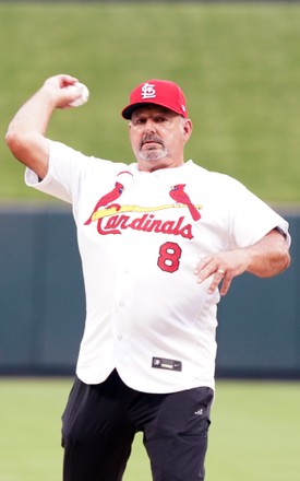 St. Louis Cardinals catcher Andrew Knizner greets home plate