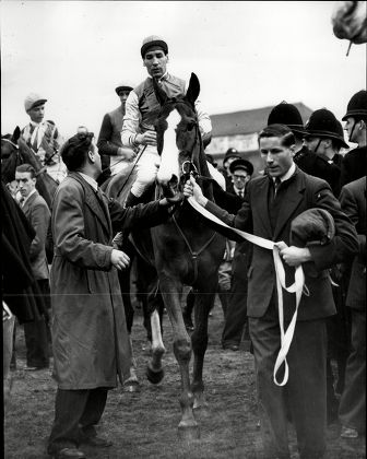 The 1954 Grand National At Aintree Royal Tan With Jockey Brian Marshall Being Led In After Winning The Race