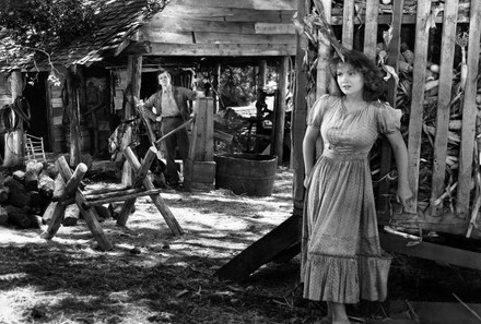 250 1941 movies Stock Pictures, Editorial Images and Stock Photos ...