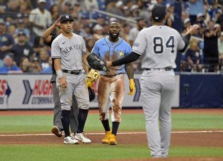 Tampa Bay Rays Randy Arozarena Congratulates Editorial Stock Photo