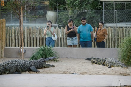 crocodile dundee sad face clipart