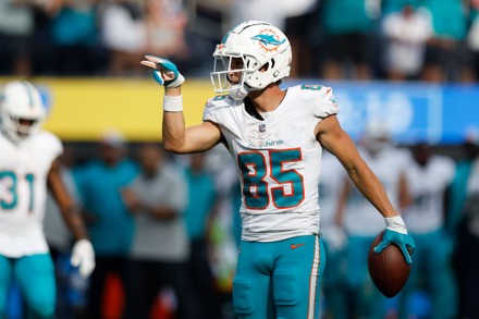 Miami Dolphins Wide Receiver River Cracraft Editorial Stock Photo