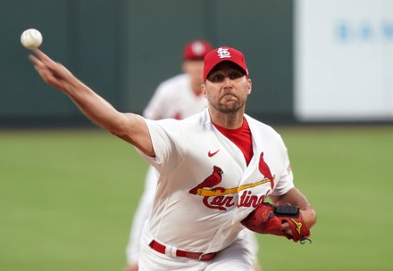 3,154 Adam Wainwright Photos Stock Photos, High-Res Pictures, and Images -  Getty Images