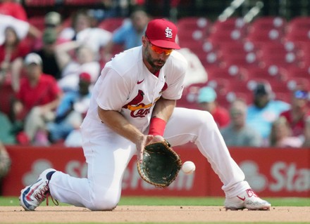 Paul Goldschmidt Stock Photos - Free & Royalty-Free Stock Photos