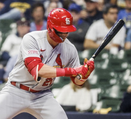 St. Louis Cardinals Baseball Team Logo Editorial Photo - Image of