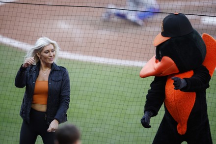 Oriole Mascot Costume