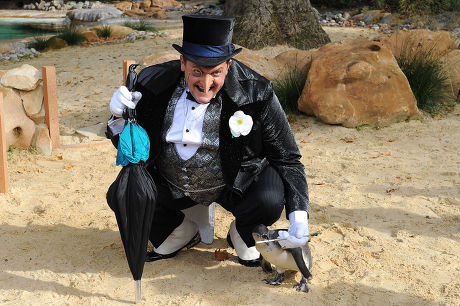 The Penguin from 'Batman Live' stage production meets London Zoo's penguins, London, Britain - 22 Aug 2011