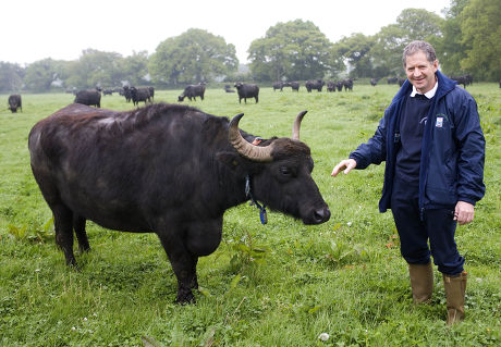 Former Formula One driver Jody Scheckter swaps racing cars for tractors and water buffalo at his organic Microcosm farm at Laverstoke, Hampshire, Britain - Aug 2011