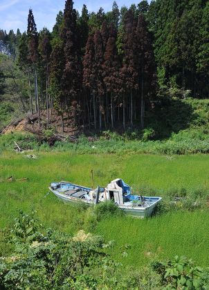 Tsunami in japan months