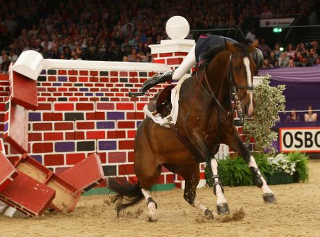 Horse of the Year Show 2011 at the LG Arena, Birmingham, Britain - 08 Oct 2011