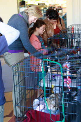Jane Lynch adopts a dog, Los Angeles, America - 10 Dec 2011