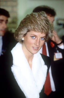 1,000 Princess diana 1988 Stock Pictures, Editorial Images and Stock ...