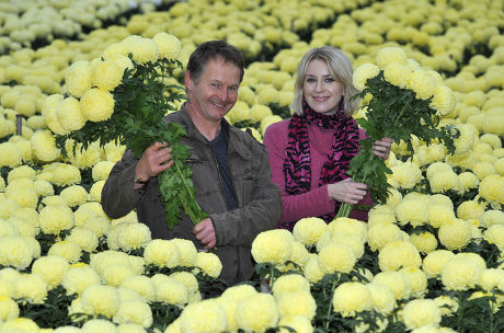 Mail Writer Ticky Hedley-dent (pictured R) Visits One Of The Uk's Last Chrysanthemum Growers.- Grower Trevor Lawerence (l) On His Farm Near Holmes Chapel Cheshire. Pic Bruce Adams / Copy Hedley-dent - 15/12/10