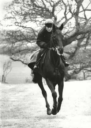 Farmer Horse Racing Jockey Philip Schofield Editorial Stock Photo ...