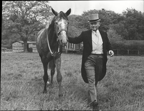 John Meacock Race Horse Owner Horse Editorial Stock Photo - Stock Image ...