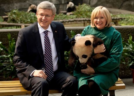 China signs agreement to loan two giant pandas to Canadian Zoos - 11 Feb 2012