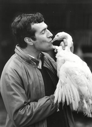 Gerard Bourgoin Owner Worlds Largest Turkey Editorial Stock Photo ...