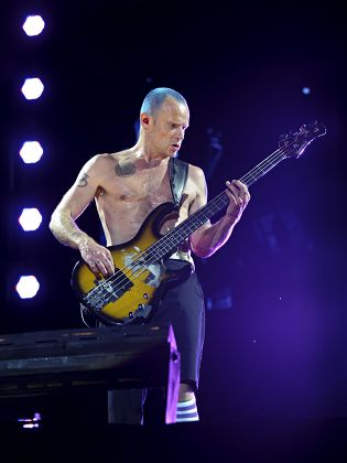 Red Hot Chili Peppers Flea Editorial Stock Photo - Stock Image