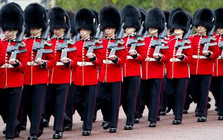 250 British army generals Stock Pictures, Editorial Images and Stock ...