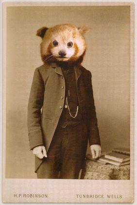 'Visitorians' artwork which are a fusion between taxidermy and Victorian 'carte de visite' portrait calling cards, Britain - 22 May 2012