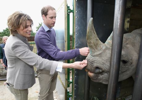 Rhino Translocation Project, Port Lympne Wild Animal Park, Britain - Jun 2012