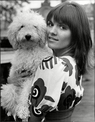 Singer Eve Graham Her Poodle Pepsi Editorial Stock Photo - Stock Image ...