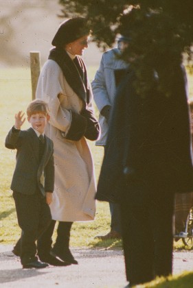 Princess Diana Prince Harry Editorial Stock Photo - Stock Image