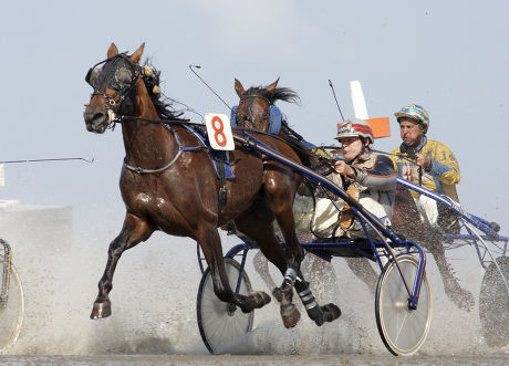 250 Horse harness racing Stock Pictures, Editorial Images and Stock ...